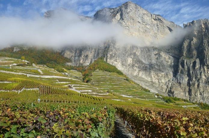 Vignes du Valais en Suisse (Swiss Wine)