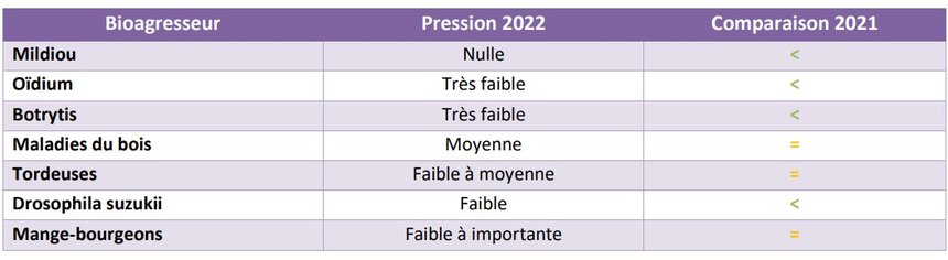 Pression biotique dans le vignoble de Lorraine en 2022