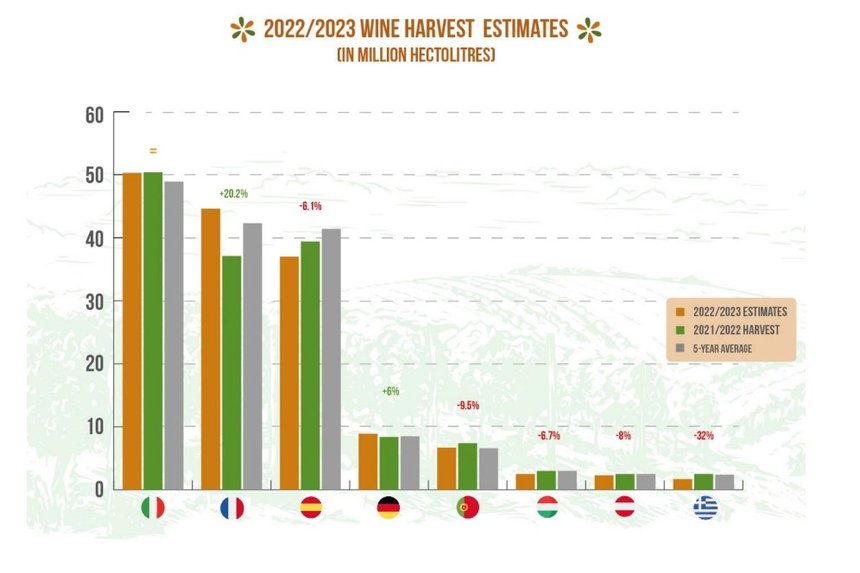 Bilan de récolte sur la vendange 2022 en Europe
