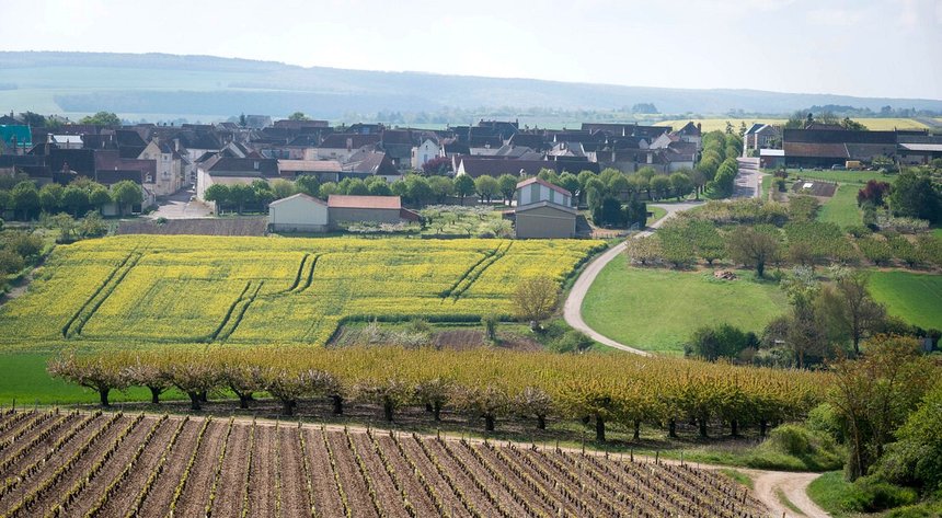 Cheick Saidou - agriculture.gouv.fr