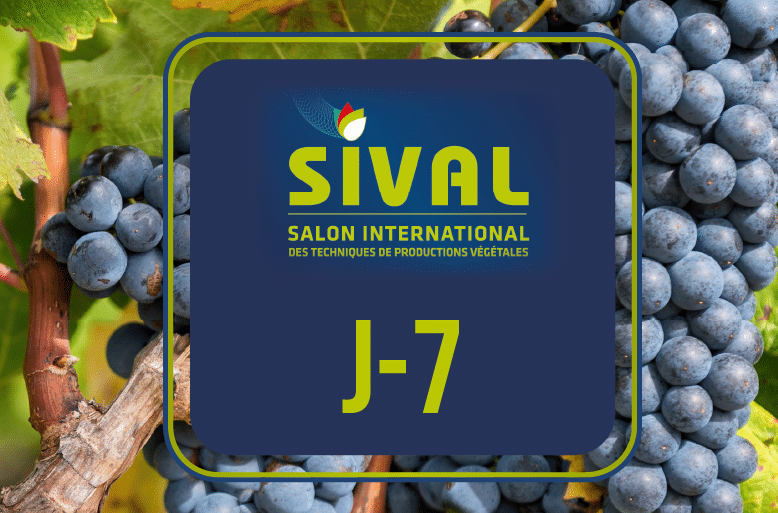 Sival 2022
