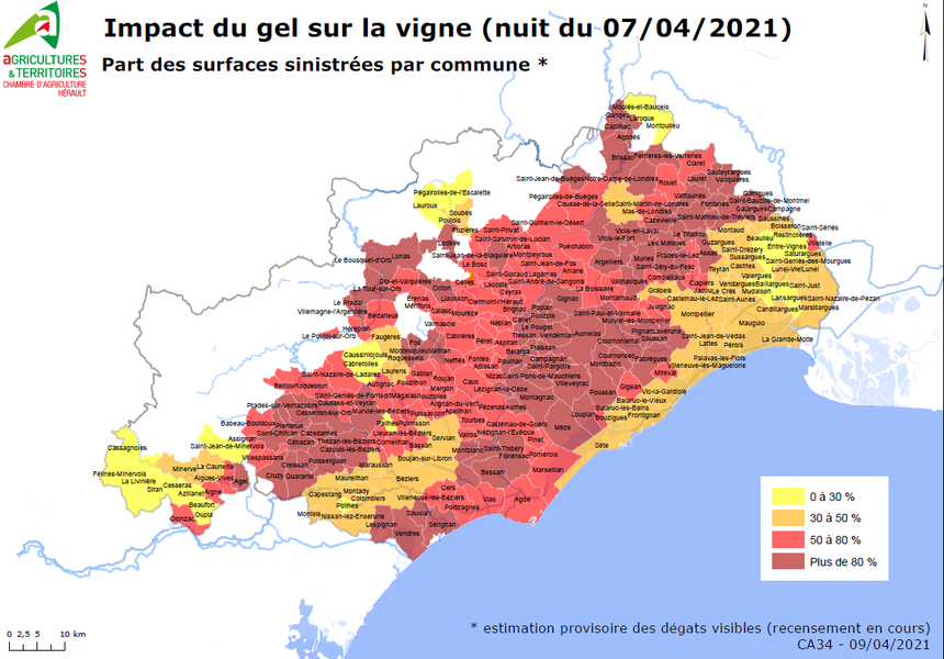 Part de surface de vigne sinistrée par le gel dans l'Hérault en avril 2021
