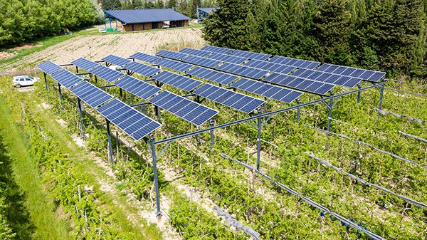 viticulture photovoltaïque