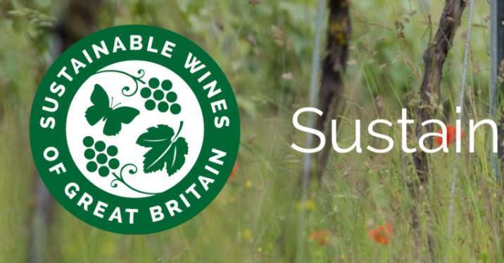 Comme dans d’autres pays, la jeune filière viticole de Grande Bretagne  a créé une certification nationale pour récompenser les entreprises viticoles adoptant une stratégie durable