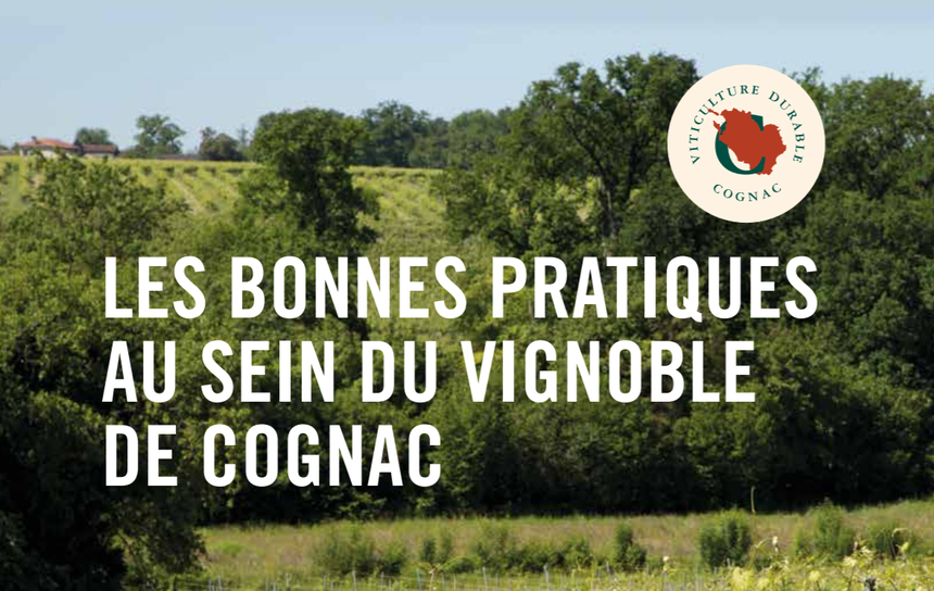 viticulture durable cognac