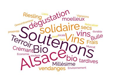 Soutien collectif aux viticulteurs bio d’Alsace - Credit photo : https://biograndest.org/soutenons-les-vignerons-bio-dalsace/