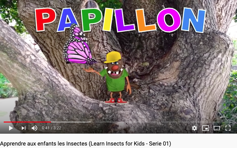 apprendre aux enfants les insectes en video