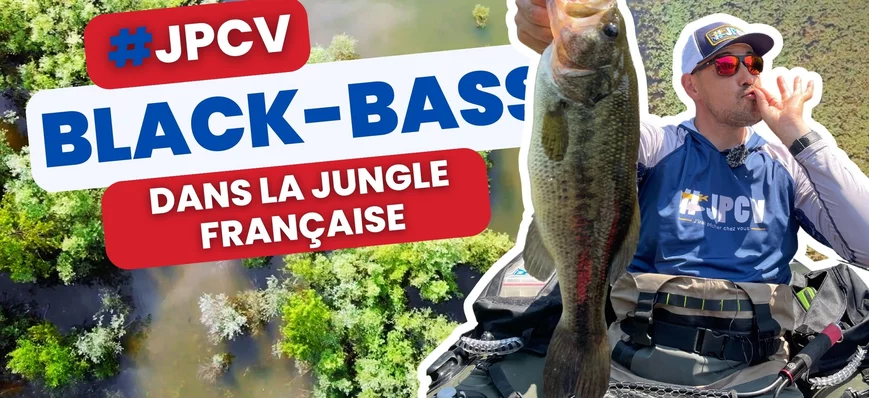 [JPCV] Black-bass dans la jungle française et enco