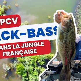 [JPCV] Black-bass dans la jungle française et encornets à la Sétoise