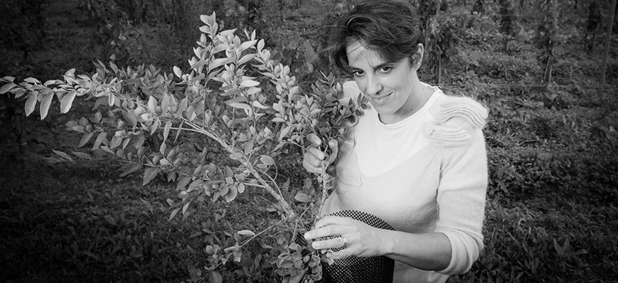 Émilie Contiero : Label bio et agroforesterie