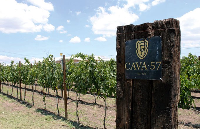 Notre domaine familial s’appelle Cava 57. Nous  avons choisi ce nom car il est près de la route 57  qui relie le nord du Mexique aux États-Unis. Photo : Domaine Cava 57