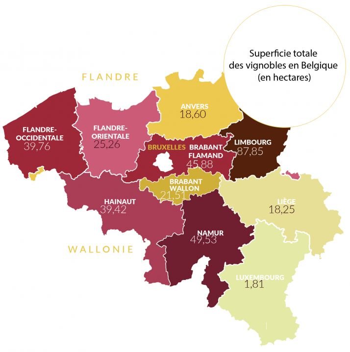 Les principales provinces productrices de vin en Belgique sont le Limbourg, le Brabant flamand (en Flandre), Namur, et le Hainaut (en Wallonie). Elles représentent, à elles quatre, les trois quarts de la production nationale. Source&nbsp;: SPF Économie
