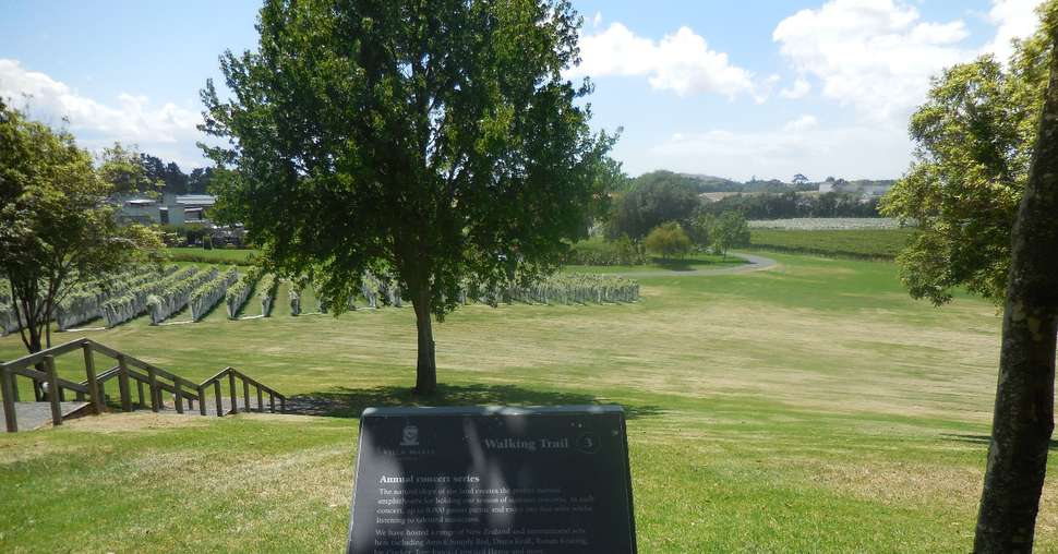 winery Villa Maria d’Auckland en Nouvelle-Zélande (Adrien Badet)