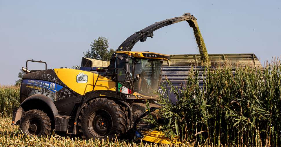 New Holland: une édition spéciale pour les 60 ans des ensileuses Forage Cruiser 