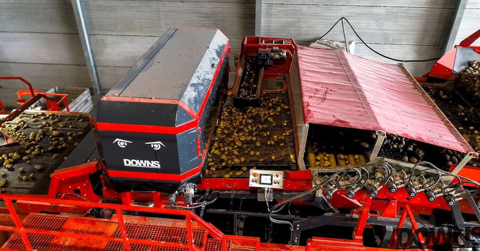 Downs: un trieur optique pour pommes de terre non lavées