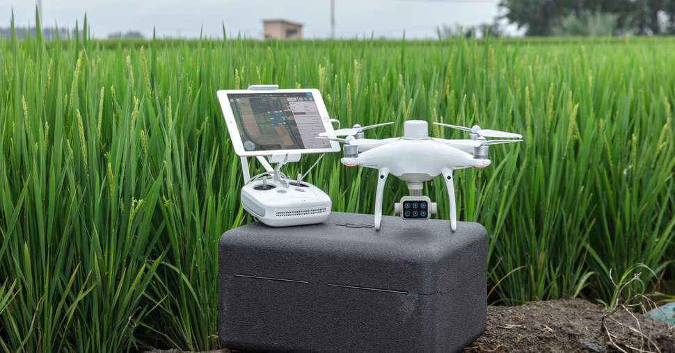Le P4 Multispectral, un drone conçu pour l’agriculture.