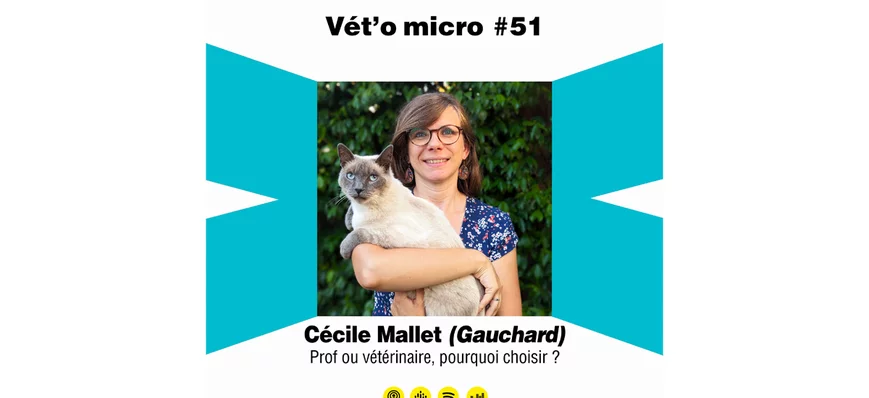 Épisode #51 - Cécile Mallet (Gauchard) - Prof ou v
