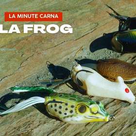 [TUTO] Tout savoir sur la pêche à la grenouille (frog) - La Minute Carna