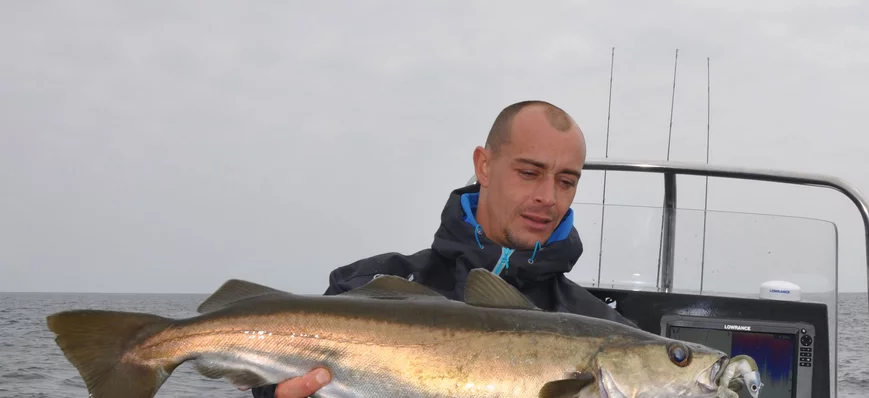 Lieu jaune : où le pêcher en hiver ?