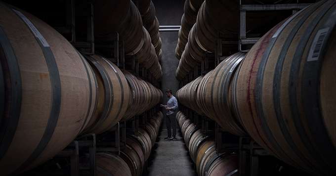 Thomas Savre, Bourguignon d’origine, dirige la vinification du Domaine Lingua Franca, dans la Willamette Valley. Photo : Chris Weeks Photography 