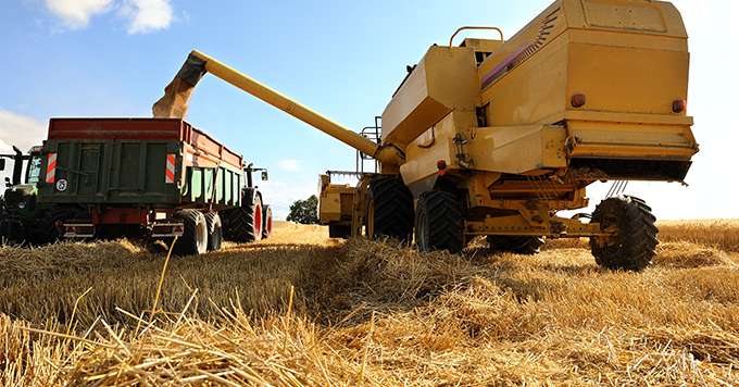 L’augmentation de la teneur en CO2 de l’atmosphère va-t-elle permettre de poursuivre l’augmentation des rendements agricoles ? Crédit: thieury/Adobe Stock