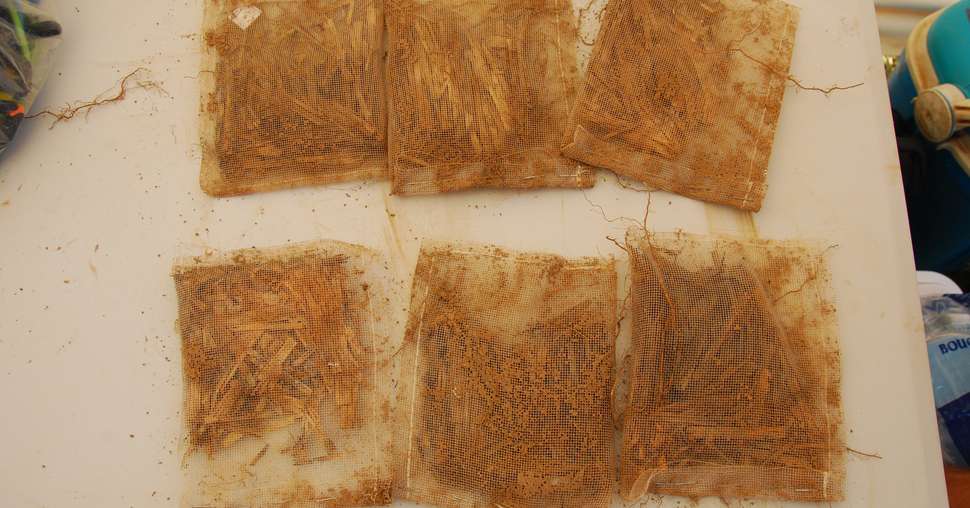 Le levabag a la forme d'un sachet de thé. Il est enfoui dans le sol pour plusieurs mois. Crédit photo : M. Lecourtier/Média&amp;Agriculture