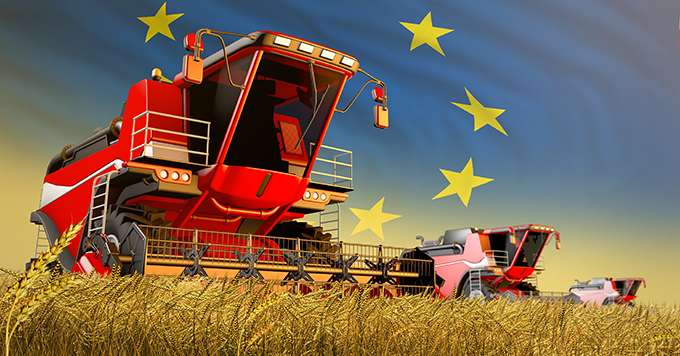 La production globale en céréales couvre les besoins des États de l’UE. Mais c’est principalement grâce au blé tendre et à l’orge, dont les volumes produits sont très importants. Crédit: Dancing Man/Adobe Stock