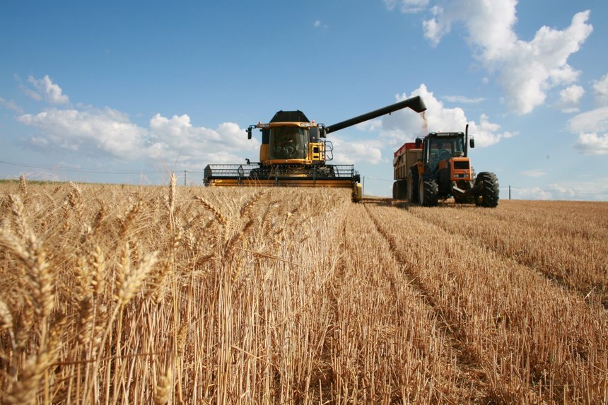 Le blé tendre affiche un beau rendement, et une production en hausse, tant par rapport à 2022, que par rapport à la moyenne quinquennale. © X. BEGUET- Panorama