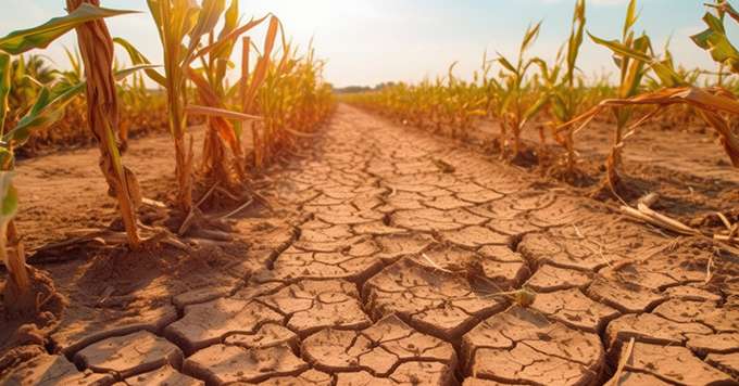 Le retour d'El Nino pourrait avoir de fortes conséquences sur l'élévation des températures. Les inquiétudes pèsent sur le monde agricole. Crédit: bottastic/AdobeStock.jpg