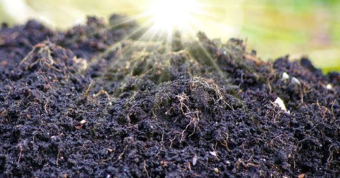Décomposée rapidement par la vie du sol, la paille relargue ensuite des minéraux essentiels au développement des plantes. Crédit: megakunstfoto/Adobe Stock
