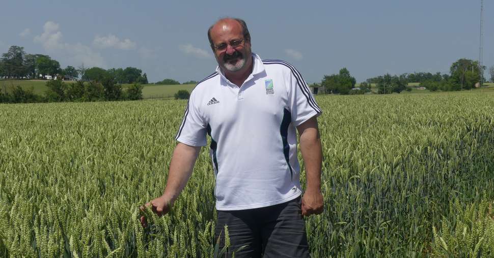 Christophe David cultive entre 10 et 15 ha de blé hybride depuis 2013. Crédit photo : A. Di Bella / pixel6TM