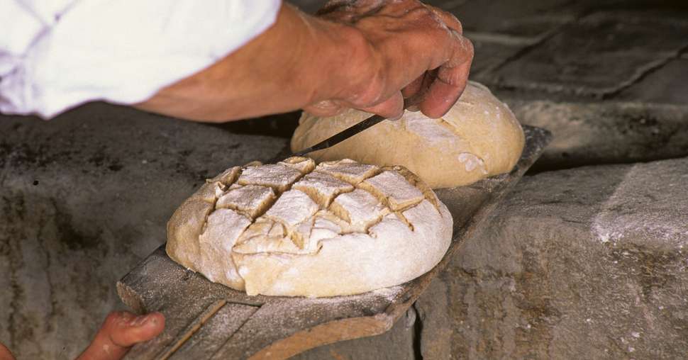 La qualité de la farine répond aux caractéristiques technologiques recherchées par les utilisateurs, industriels ou artisanaux. © Oscar / Adobe Stock