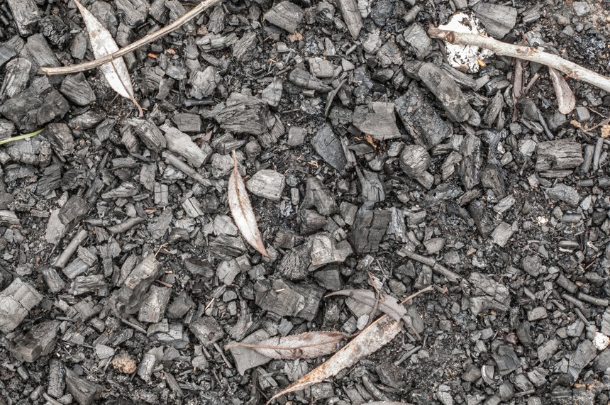  Les biochars sont à réserver à des cas très particuliers de sols très pauvres. © Okrip / Adobe Stock