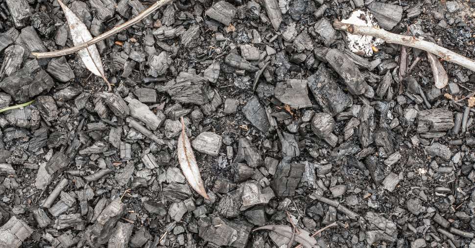  Les biochars sont à réserver à des cas très particuliers de sols très pauvres. © Okrip / Adobe Stock