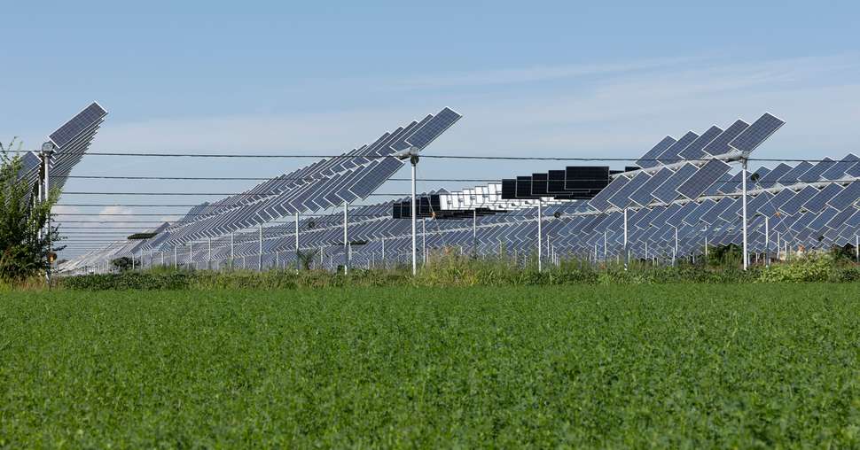 L’agrivoltaïsme se doit de conjuguer à la fois production d’énergie et production agricole, la seconde restant prioritaire. Quelques règles sont à respecter pour y parvenir. © Roberto / Adobe Stock