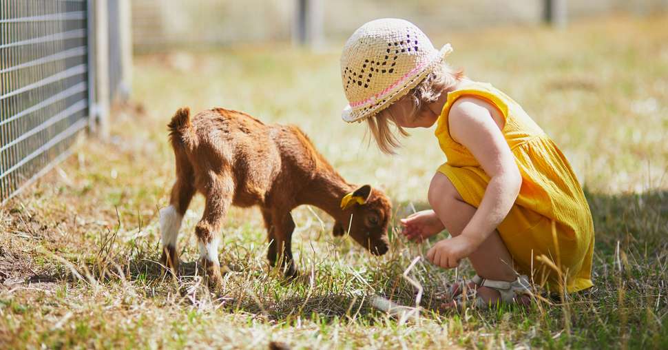 © Ekaterina Pokrovsky / Adobe Stock