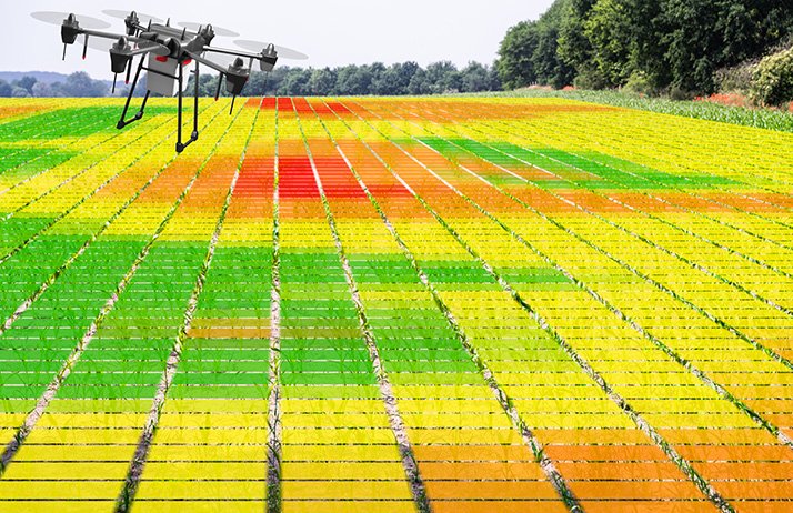 Un drone pour estimer la biomasse du colza et moduler les apports d’engrais. ©&nbsp;Andrey Popov/Adobe Stock