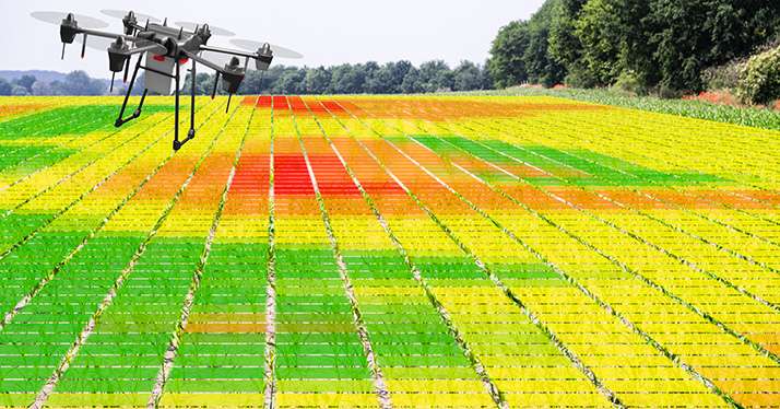 Un drone pour estimer la biomasse du colza et moduler les apports d’engrais. ©&nbsp;Andrey Popov/Adobe Stock
