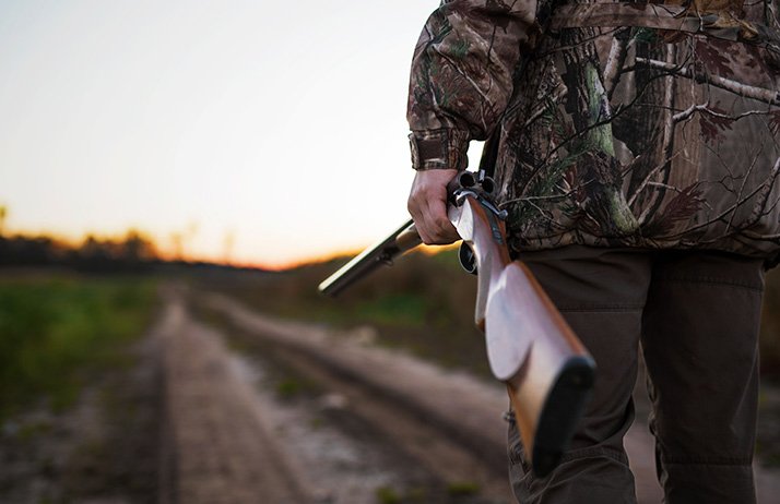 Sécurité à la chasse : le Gouvernement déroule son plan. ©&nbsp;Kaspars Grinvalds/Adobe Stock