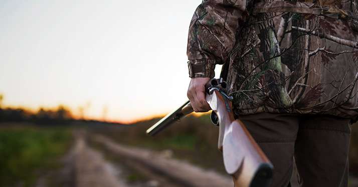 Sécurité à la chasse : le Gouvernement déroule son plan. ©&nbsp;Kaspars Grinvalds/Adobe Stock