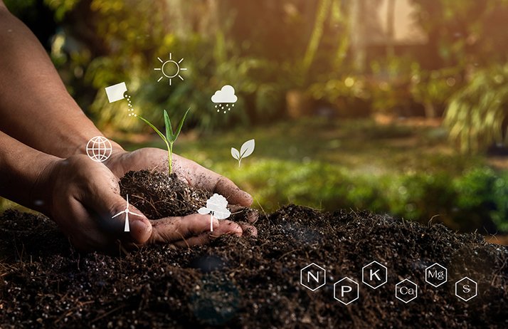 Les doses d’apports de fertilisants sont à adapter en fonction de la capacité qu’a le sol à retenir les éléments minéraux. © Skarie/Adobe Stock