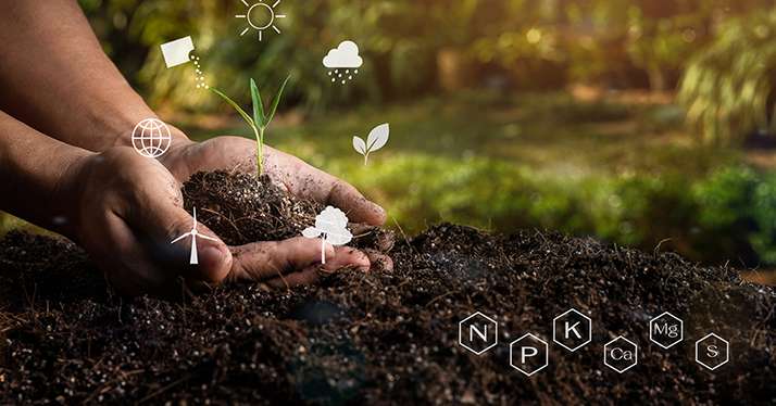 Les doses d’apports de fertilisants sont à adapter en fonction de la capacité qu’a le sol à retenir les éléments minéraux. © Skarie/Adobe Stock