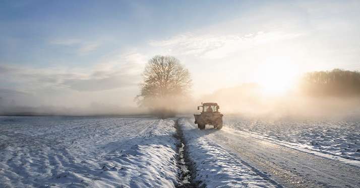 Un épisode de froid intense mais rare dans le climat actuel. © YesPhotographers/Adobe Stock