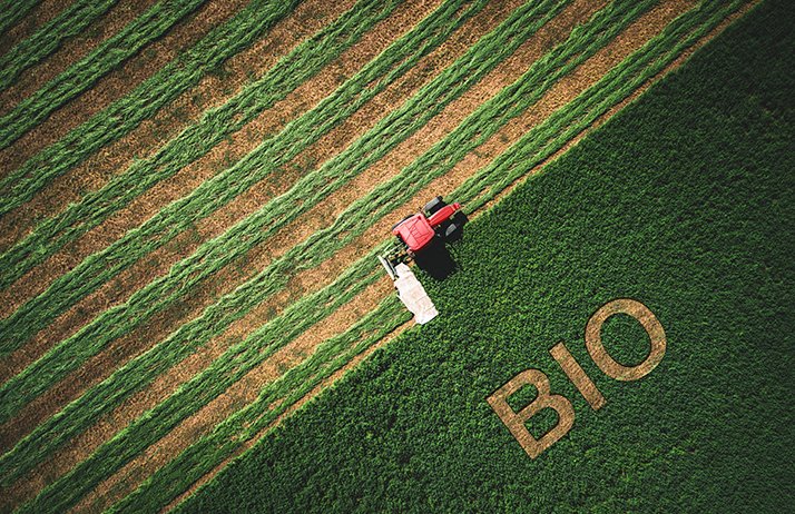 Agriculture bio : où s’installer en 2023 ? ©&nbsp;ValentinValkov/Adobe Stock