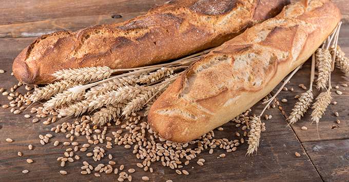 Selon les résultats de l’enquête réalisée par FranceAgriMer et Arvalis-Institut du Végétal, 59% du blé tendre de la récolte 2022 serait de qualité supérieure ou premium. Crédit:&nbsp;thodonal/Adobe Stock