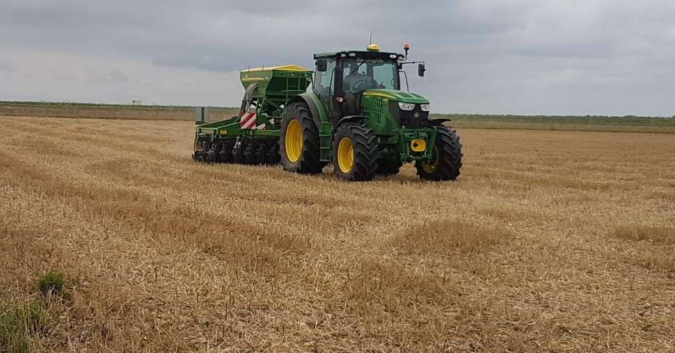 Le semis direct sur chaumes permet aux semences du couvert de profiter de l’humidité résiduelle du sol pour lever rapidement et couvrir le plus vite possible le sol. Crédit: Inrae Bourges