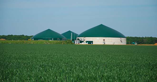 Le fort développement de la méthanisation agricole pose la question de la disponibilité suffisante des substrats agricoles et agroalimentaires pour alimenter la totalité des digesteurs. Crédit: M. Lecourtier/Média&Agriculture