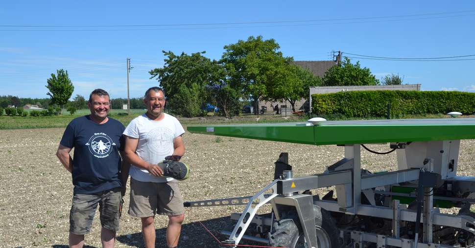 Au Gaec Faidherbe-Proust, les agriculteurs ont investi dans un robot pour le&nbsp;semis et le désherbage de betteraves