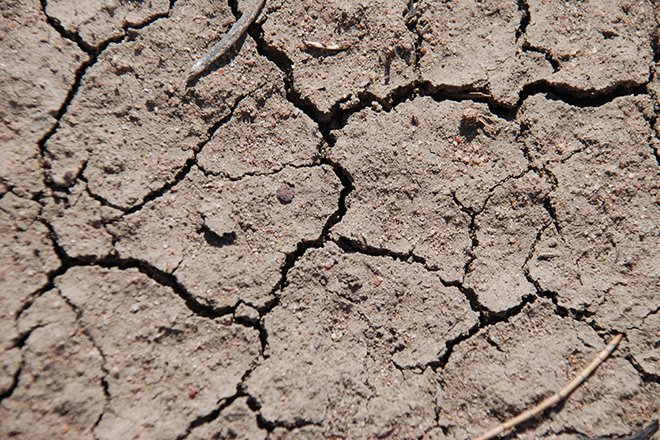 Selon le comité d'anticipation et de suivi hydrologique, la sécheresse de l’année pourrait se faire ressentir dans tous les territoires de l'Hexagone. Crédit: Pixel6TM