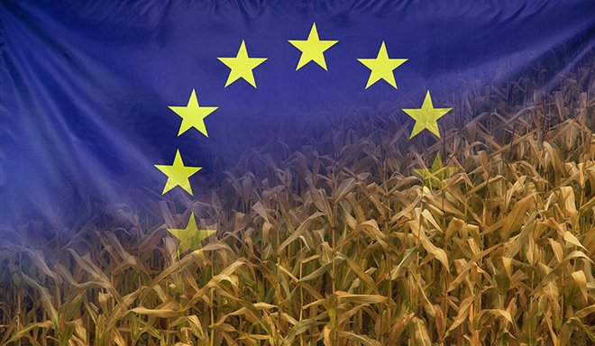 Europe Nutrition Concept Corn field with fabric Flag